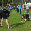 2013 Kubbturnier Freiburg